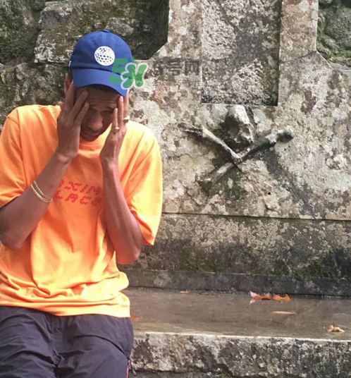 palace2017秋冬新款tri ferg tee什么樣_什么時候發(fā)售？