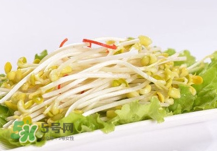 豆芽怎么保存？新鮮豆芽放冰箱能放幾天？