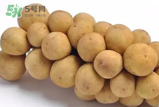龍宮果多少錢一斤？龍功果價(jià)格表