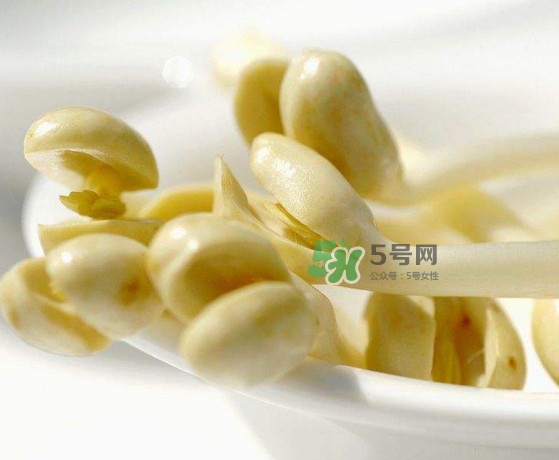 花生芽炒菜吃可以嗎？花生芽能吃嗎