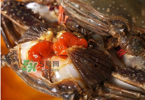 梭子蟹有蟹黃嗎？梭子蟹蟹黃在哪里？