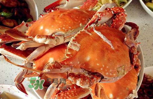 梭子蟹為什么沒有蟹黃？梭子蟹蟹黃能吃嗎？