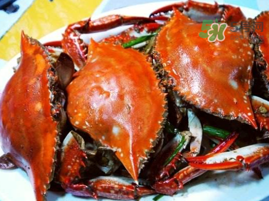 梭子蟹可以煮嗎？梭子蟹怎么煮？