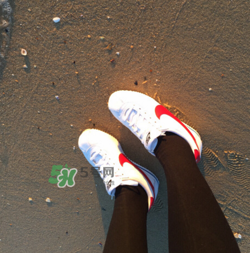 nike cortez jewel皮革版多少錢？耐克阿甘鞋皮革款價(jià)格