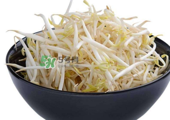 豆芽什么季節(jié)吃？豆芽什么時(shí)候有