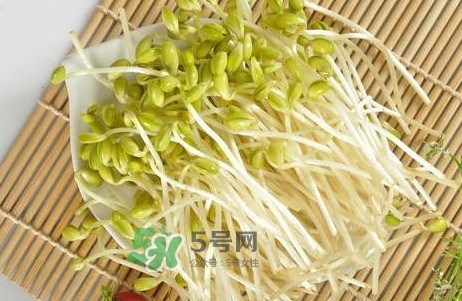 豆芽有根好還是無(wú)根好？無(wú)根豆芽與有根豆芽區(qū)別