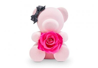 roseonly熊多少錢？roseonly玫瑰熊多少錢？