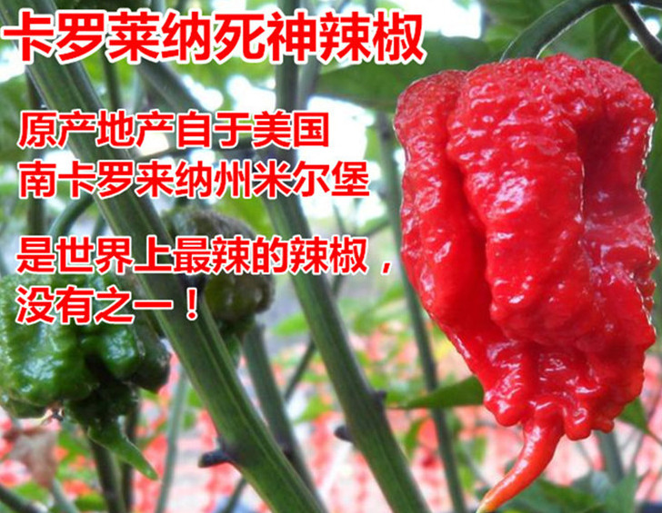 死神辣條多少錢一盒？死神辣條能吃嗎