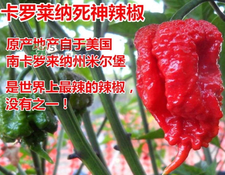 死神辣條哪兒有賣(mài)？哪里可以買(mǎi)到死神辣條