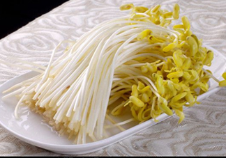 豆芽有綠葉還能吃嗎？豆芽有點(diǎn)爛了還能吃嗎