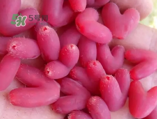 杈杷果怎么吃？杈杷果食用方法