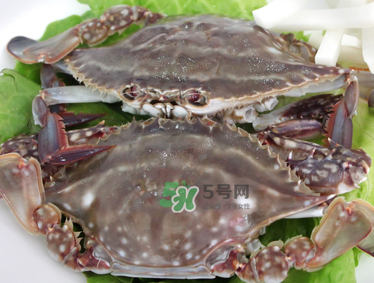 梭子蟹為什么這么貴？梭子蟹和大閘蟹哪個貴？