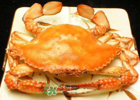 飛蟹什么時候最肥？飛蟹幾月份最肥？