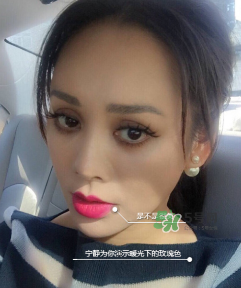 ysl208是什么顏色？ysl208適合黃皮嗎？