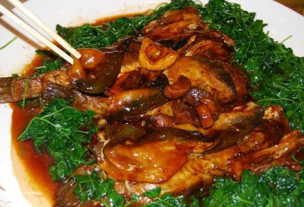 河豚魚怎么吃？河豚魚怎么去毒
