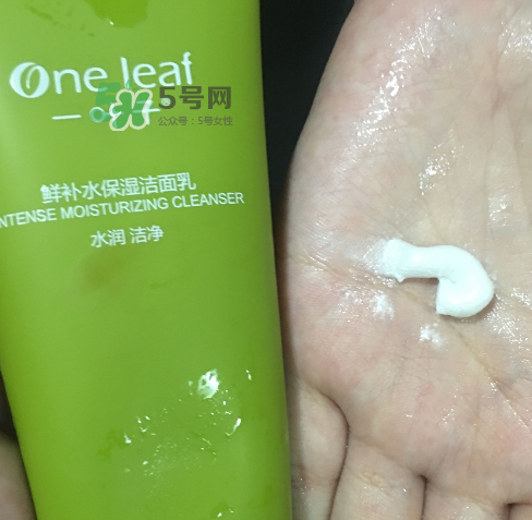 一葉子鮮補水洗面奶怎么樣？一葉子鮮補水潔面乳好用嗎？