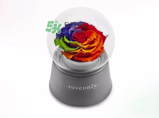 roseonly音樂盒多少錢？roseonly音樂盒歌曲名