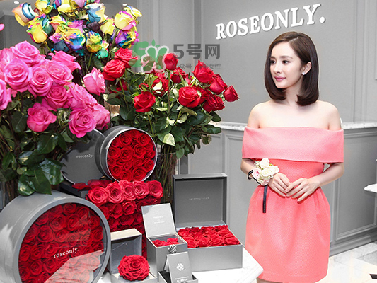roseonly音樂盒多少錢？roseonly音樂盒歌曲名