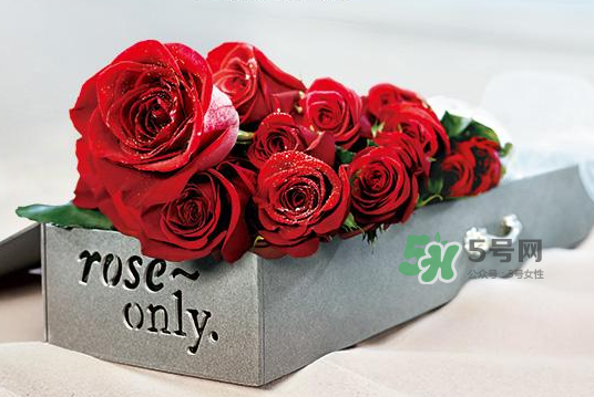 roseonly永生花可以保存多久？roseonly永生花保養(yǎng)