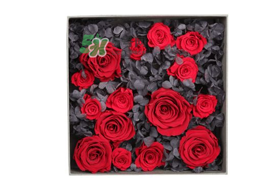 roseonly永生花可以保存多久？roseonly永生花保養(yǎng)