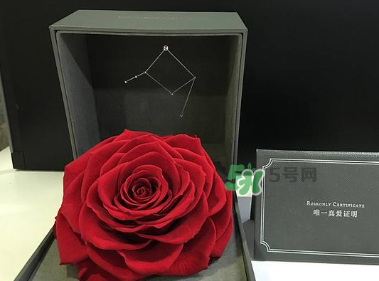 roseonly永生花可以保存多久？roseonly永生花保養(yǎng)