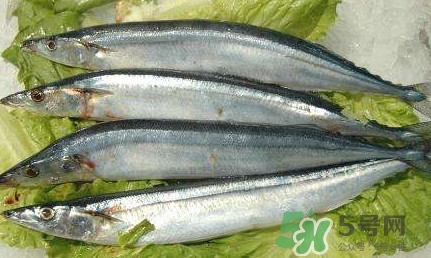 鰣魚和刀魚哪個貴？長江三鮮哪個最貴