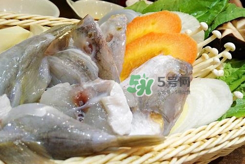 河豚可以當(dāng)寵物養(yǎng)嗎？河豚可以用淡水養(yǎng)嗎