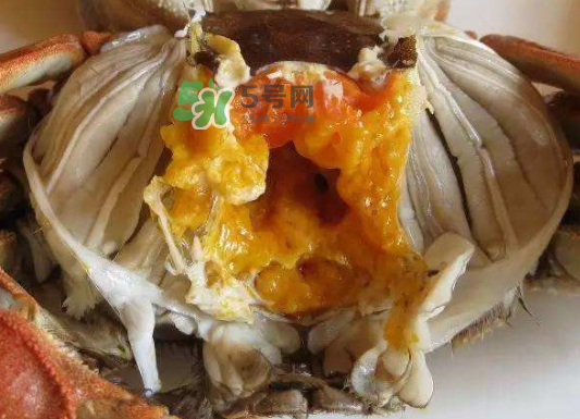 大閘蟹不能和什么一起吃？大閘蟹和什么食物相克？