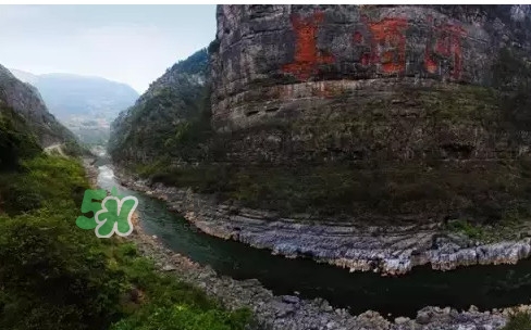 茅臺(tái)酒為什么那么貴？茅臺(tái)酒為什么這么貴