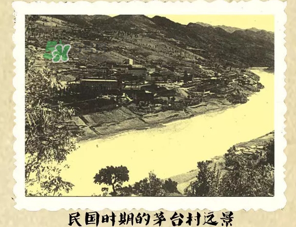 茅臺(tái)酒為什么那么貴？茅臺(tái)酒為什么這么貴