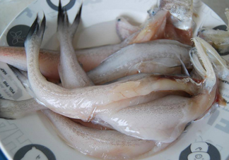 買龍頭魚怎么挑選？冰凍龍頭魚怎么去內臟