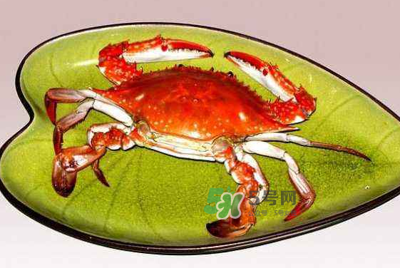 海螃蟹蒸多長時間？海螃蟹蒸多久？