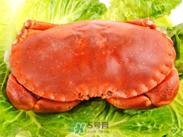 面包蟹和帝王蟹哪個好吃？面包蟹好吃還是帝王蟹好吃？