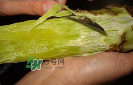 青筍怎么處理？青筍怎么切成菱形