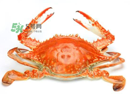 ?花蟹可以放冰箱嗎？花蟹怎么保存才新鮮？