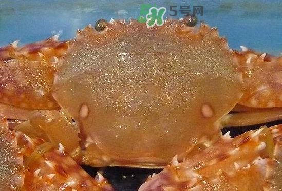 ?花蟹可以放冰箱嗎？花蟹怎么保存才新鮮？