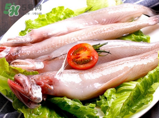 龍頭魚是海魚嗎？龍頭魚是海鮮嗎