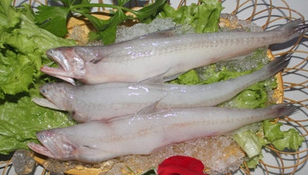 龍頭魚怎么做好吃？龍頭魚干怎么做好吃