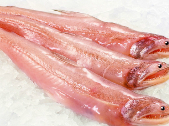 龍頭魚(yú)有刺嗎？龍頭魚(yú)有魚(yú)鱗嗎