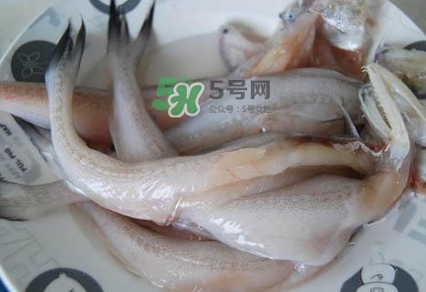 龍頭魚怎么殺？龍頭魚怎么處理？