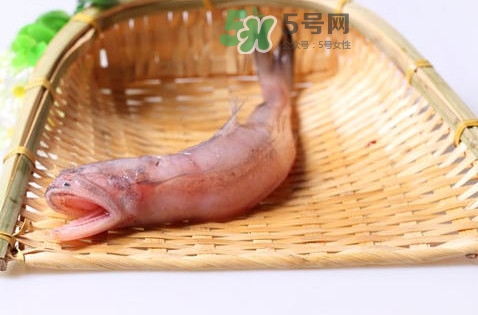 龍頭魚身是什么神獸？龍頭魚身是什么寓意