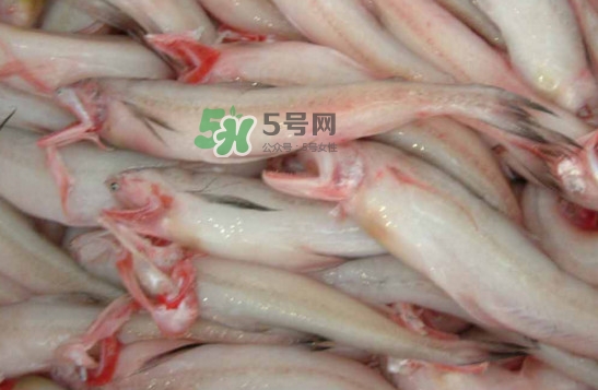 龍頭魚怎么炸？龍頭魚怎么做湯