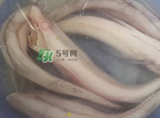 買龍頭魚怎么挑選？冰凍龍頭魚怎么去內(nèi)臟