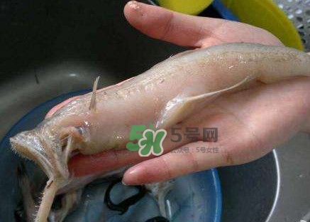 水潺湯怎么做？水潺燉豆腐的做法