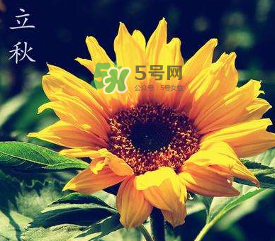 立秋后是不是早晚天氣涼？立秋后天氣有什么變化？