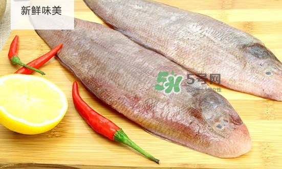 龍利魚多少錢一斤？龍利魚是什么魚