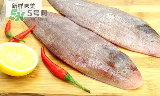 龍利魚怎么挑選？龍利魚與越南巴沙魚的區(qū)別