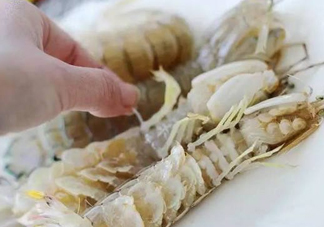 蝦蛄怎么讀？蝦蛄多少錢一斤