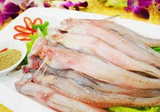 龍頭魚孕婦可以吃嗎？孕婦能吃龍頭魚嗎