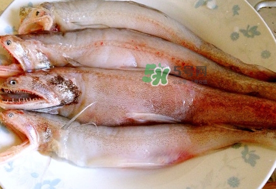 龍頭魚(yú)是什么魚(yú)？龍頭魚(yú)多少錢(qián)一斤？